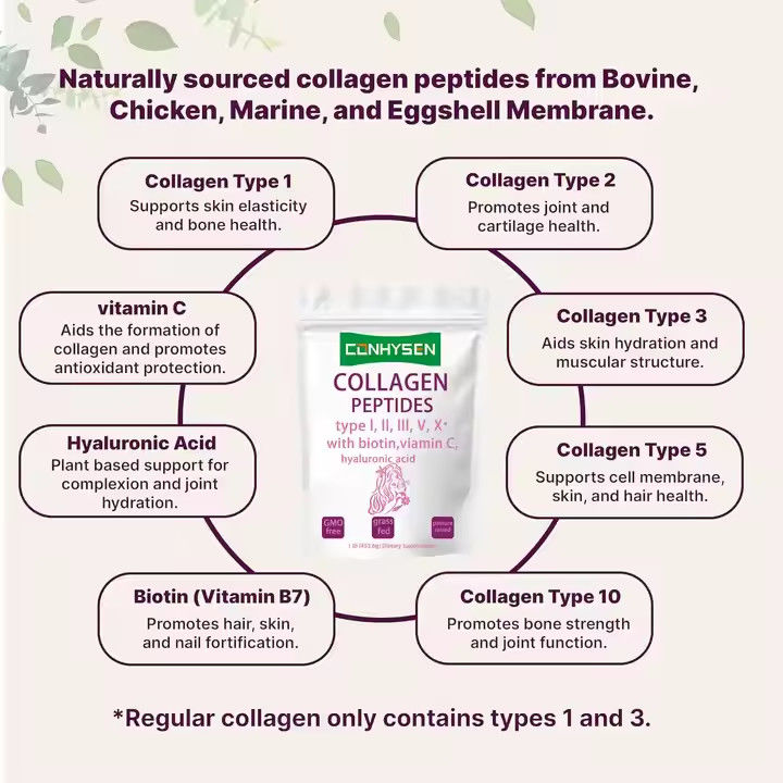 Supplementi OEM Peptidi di collagene Polvere per la salute delle articolazioni della pelle e dei capelli Supporta l'anti invecchiamento