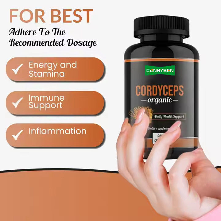 OEM ODM Capsule di cordyceps organiche promuovono la funzione cerebrale Capsule di integratori di erbe