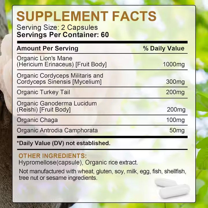 OEM Organic Capsule di criniera di leone con supplemento di coda di tacchino Supporto alla memoria Salute del cervello