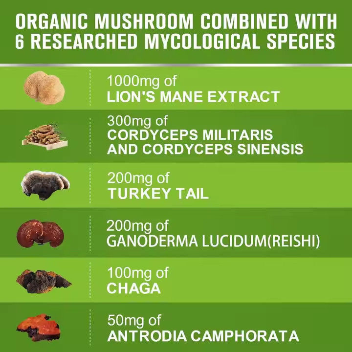 OEM Organic Capsule di criniera di leone con supplemento di coda di tacchino Supporto alla memoria Salute del cervello