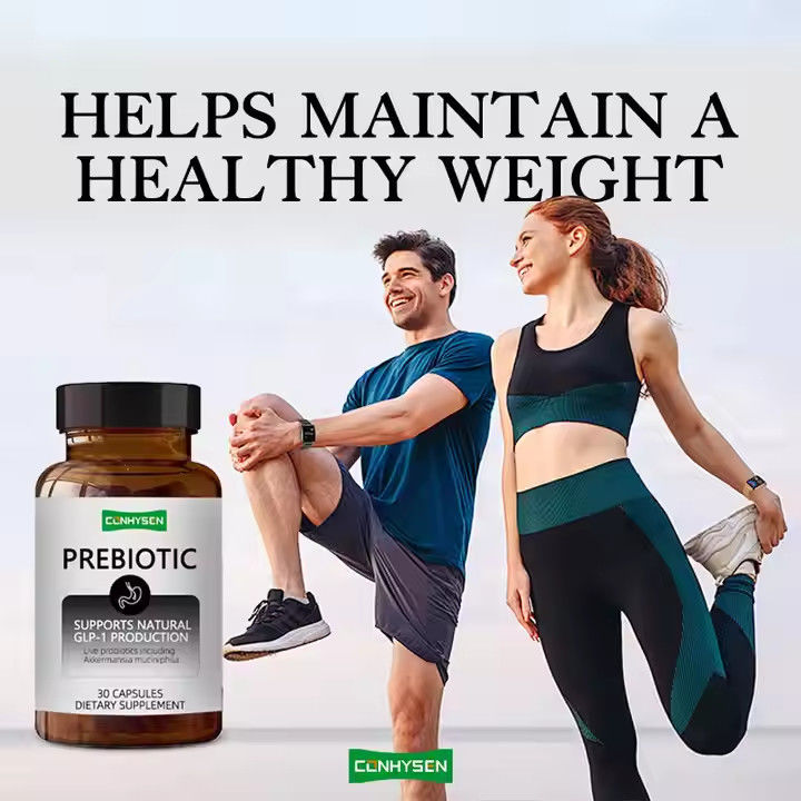 Prebiotici e probiotici Miscela di cicoria Supplemento di inulina Mantenere un peso sano