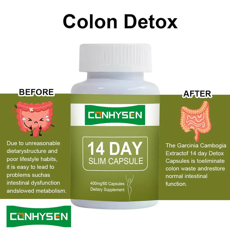 Marca privata Capsule dimagranti da 14 giorni Detox Fast flat stomach with Garcinia Cambogia Pills
