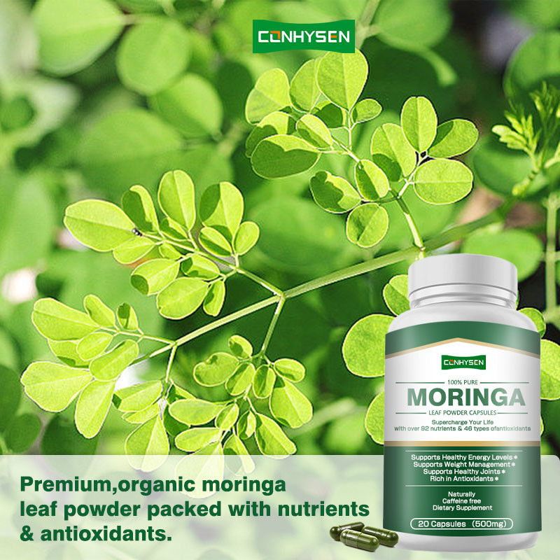 Capsule di Moringa Pure al 100% Personalizzate Per Supportare la Gestione del Peso e la Salute delle Articolazioni