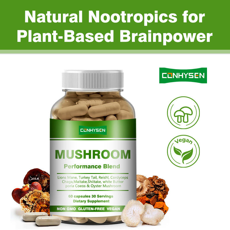 Produttore di integratori di funghi Performance Blend Capsule per sostenere una migliore memoria di concentrazione