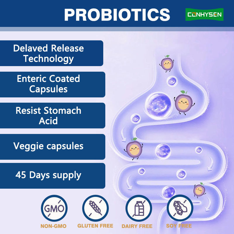 Fornitura di fabbrica capsule prebiotiche 5-in-1 Migliora la salute digestiva Complesso probiotico premium