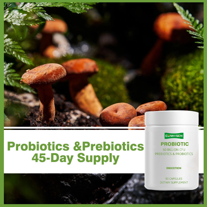 Capsule di probiotici Private Label Supportano una migliore digestione con miscela botanica biologica fermentata