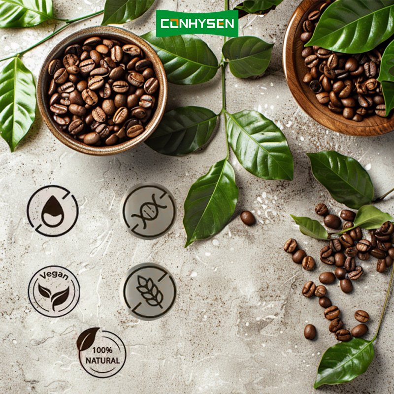 Bevanda rinfrescante a basso prezzo aumenta l'energia Funghi Caffè con Cordyceps Reishi Senza Glutene