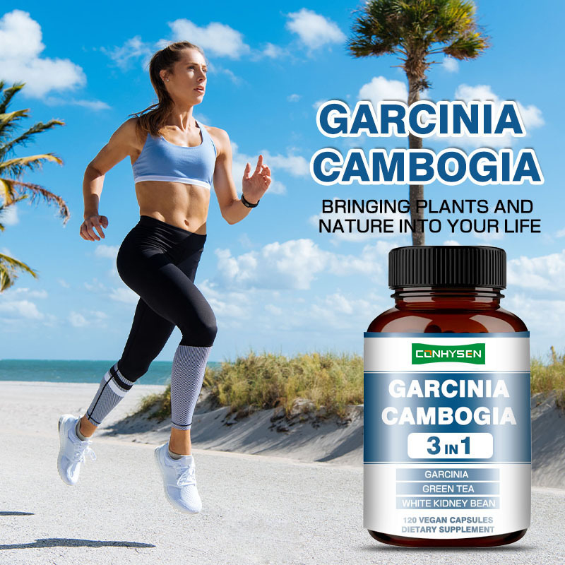 Garcinia Cambogia Premium Custom Capsule Supplemento di fagioli bianchi per la produzione di energia