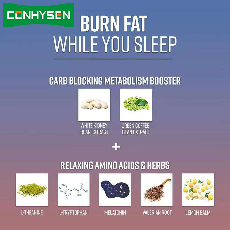 OEM Bruciatore di grasso notturno Bloccante dei carboidrati Booster del metabolismo Soppressore dell' appetito per uomini e donne Capsula bruciatore di grasso notturno