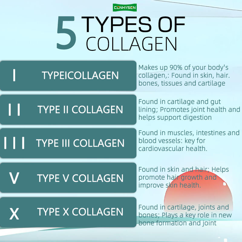 Fornitura di fabbrica Multi Collagen Complex Capsule Supplemento dietetico per rafforzare capelli e unghie