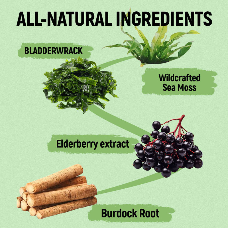 Gommosi di muschio marino con vitamina C e zinco, fornitore e fabbrica per il supporto antiossidante