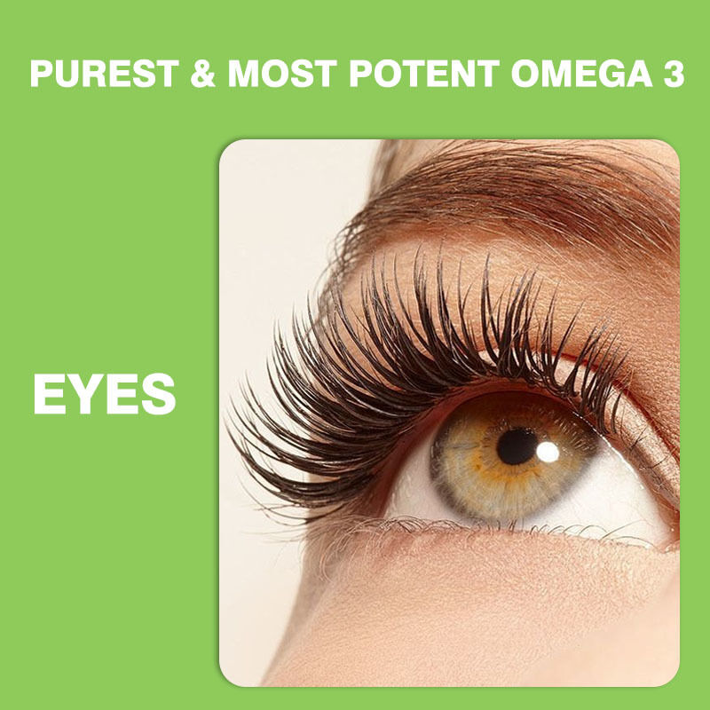 I più venduti Omega 3-6-9 gomme per bambini e adulti Vitamine per cervello e cuore DHA per adolescenti