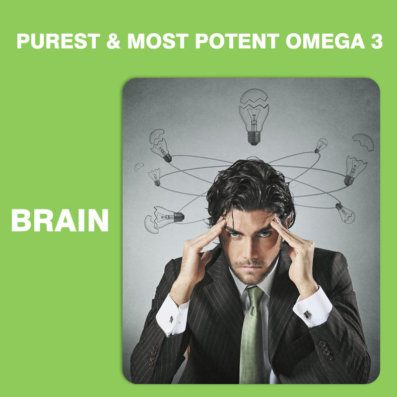 I più venduti Omega 3-6-9 gomme per bambini e adulti Vitamine per cervello e cuore DHA per adolescenti