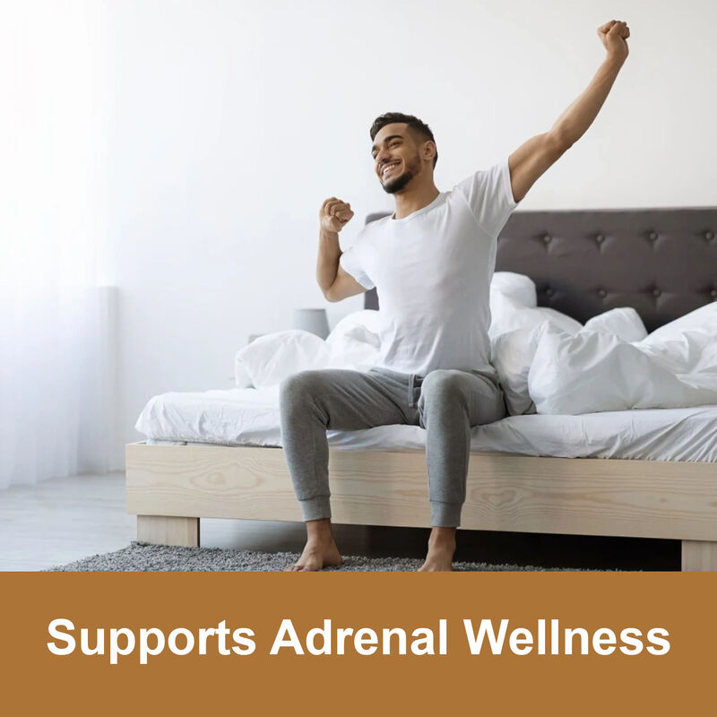 Proprietario Maca Root Gummies di alta qualità Uomini Potenziamento dell'energia Supplemento 1800mg Maca Extract Gummies per donne e uomini