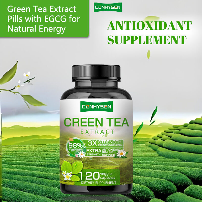 Capsule di tè verde ricche di EGCG Supplemento antiossidante Supporto immunitario Perdita di peso Diminuzione pillola bruciatore di grasso