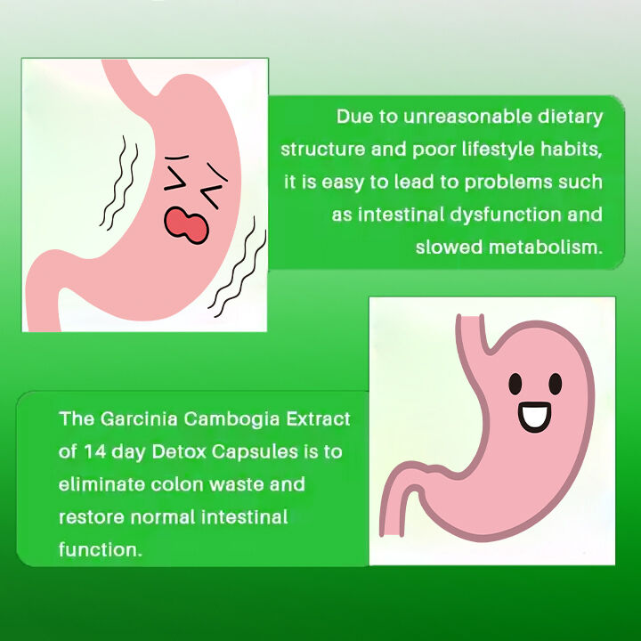 OEM ODM Capsula dimagrante da 14 giorni soppressore dell'appetito ad azione rapida e bruciatore di grassi pillole per adulti Fibra alimentare