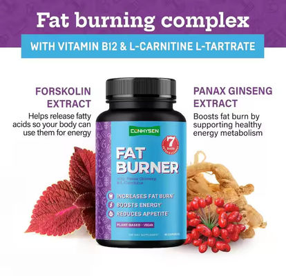 OEM Logo Capsule bruciatrici di grasso con vitamina B12 L-carnitina L-tartrato riduce l' appetito